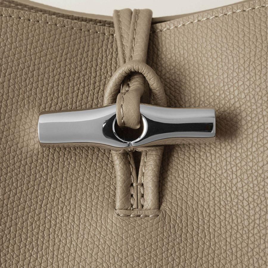 【極美品】ロンシャン ロゾ トートバッグ アルジルベージュ レザー A4 ロンシャン トートバッグ バッグ レディース ロゾ アルジルベージュ