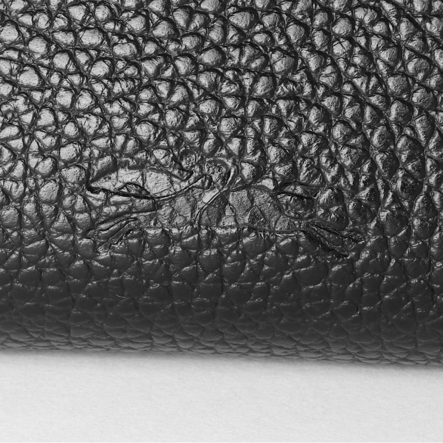 並行輸入 ロンシャン ポーチ ル フローネ  コインパース 30055 021 | LONGCHAMP | 12