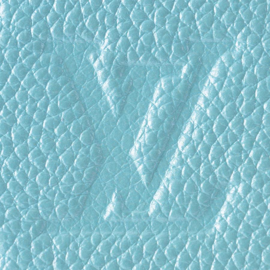 並行輸入 ルイヴィトン 長財布(ラウンドファスナー) モノグラム アンプラント LV SKI ZIPPY WALLET M12680 | LOUIS VUITTON | 05