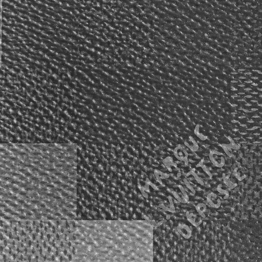 並行輸入 ルイヴィトン カードケース ダモフラージュ オーガナイザー・ドゥ ポッシュ M14928 | LOUIS VUITTON | 05