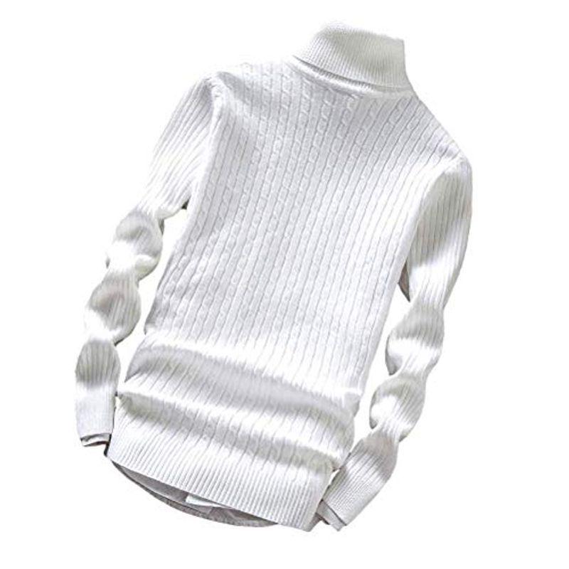 アスペルシオ ハイネック スリム ケーブル ニット セーター メンズ ボリュームネック タートルネック モックネック ハイネックセーター 売店