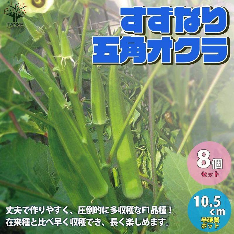 正規品質保証 ラザンター Sidetape サイドテープ 小物 Rasanter 5m アンドロ 卓球 アクセサリ その他卓球