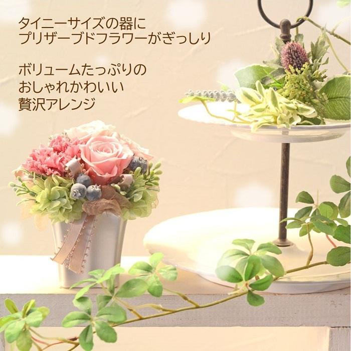 母の日✨特大✨バラ＆カーネーション＆マジョリカ✨全てプリザーブドフラワーアレンジ プリザーブドフラワー ギフト バラ カーネーション アラモード 母の日