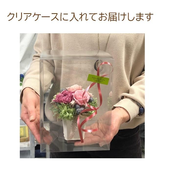 プリザーブドフラワー ギフト バラ カーネーション アラモード プリザーブドフラワー ギフト バラ カーネーション アラモード