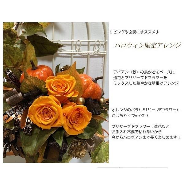 壁掛け ハロウィン プリザーブドフラワー 完成品 秋 ギフト 鳥かごアレンジ_2