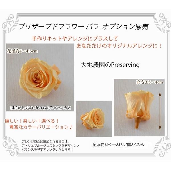 写真たて 手作りキット フォトフレム プリザーブドフラワー アンジェフルール Kfr004 ブルージュフラワーショップ 通販 Yahoo ショッピング