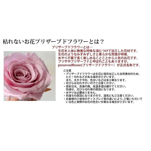 プリザーブドフラワー 手作りキット Creme : ブルージュフラワー