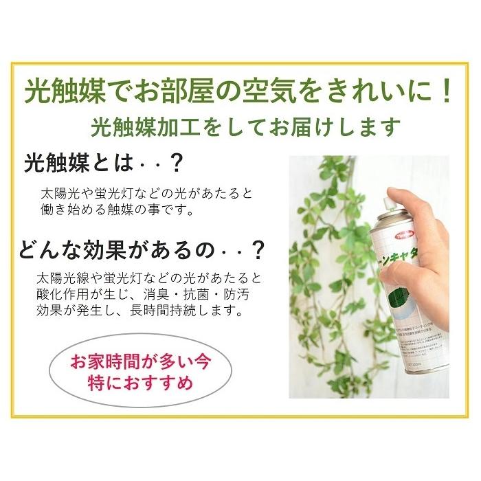 観葉植物 手作りキット グリーンプランツ フェイクグリーン 光触媒 造花　お手入れ不要　オフィス　父の日