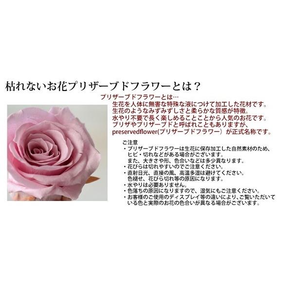 プリザーブドフラワー 手作りキット Ceddie セディ ギフト 母の日 還暦 古希 喜寿 卒寿 傘寿