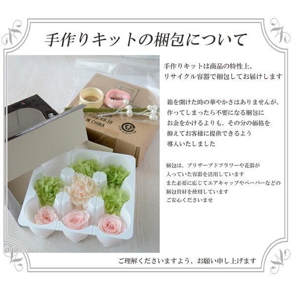 リース 手作りキット 25cm木の実とりんご 玄関 玄関リース 造花