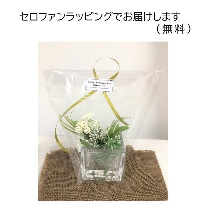 マジカルウォーター 3個セット フェイクグリーン 光触媒 おしゃれ 人気