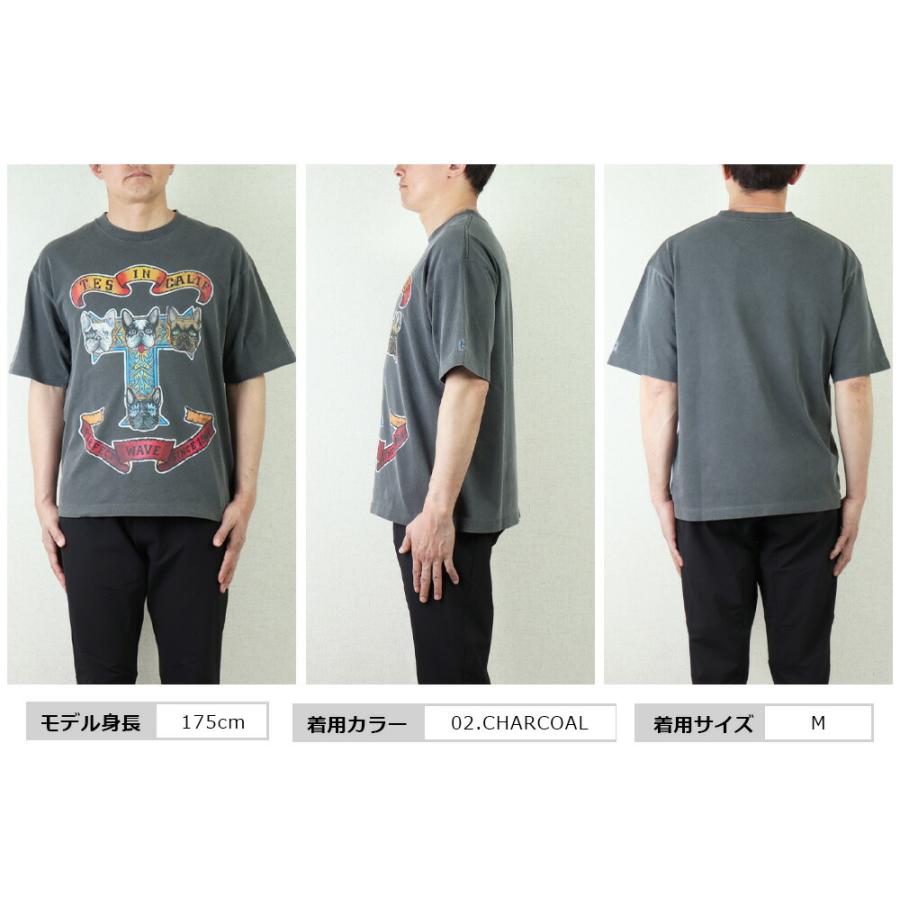 The Endless Summer エンドレスサマー Tシャツ TES メンズ BUHI The Endless Summer エンドレスサマー Tシャツ TES メンズ BUHI