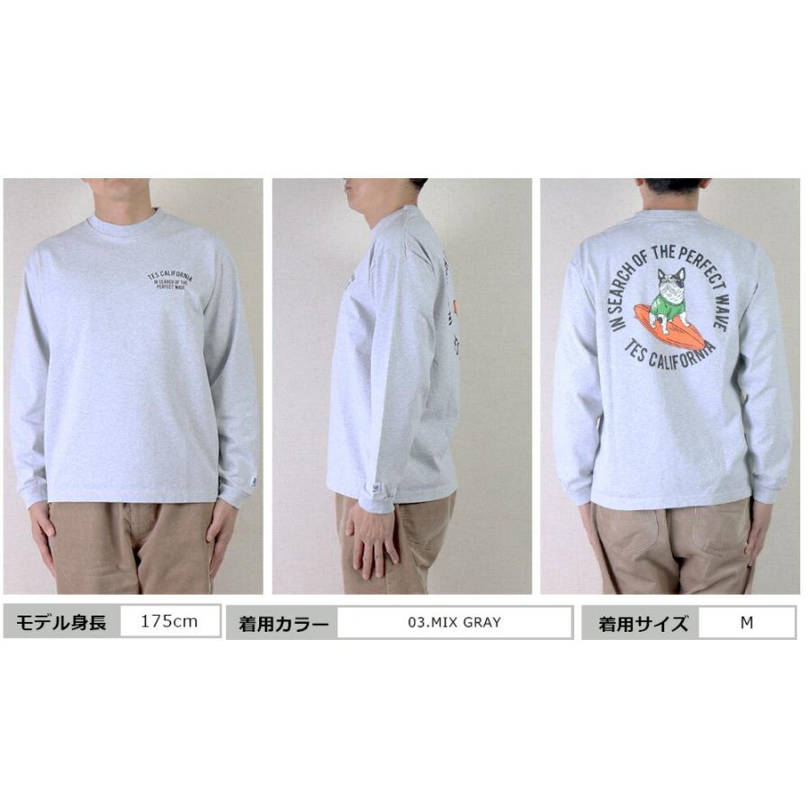 The ENDLESS SUMMER TES Tシャツ BUHI エンドレスサマー The ENDLESS SUMMER TES Tシャツ BUHI エンドレスサマー