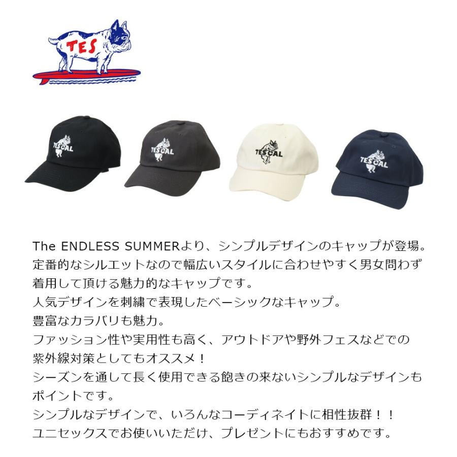 エンドレスサマー キャップ The Endless Summer TES ローキャップ テス