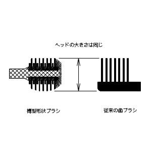 ブラシケア　スペア付　レッド |  | 02