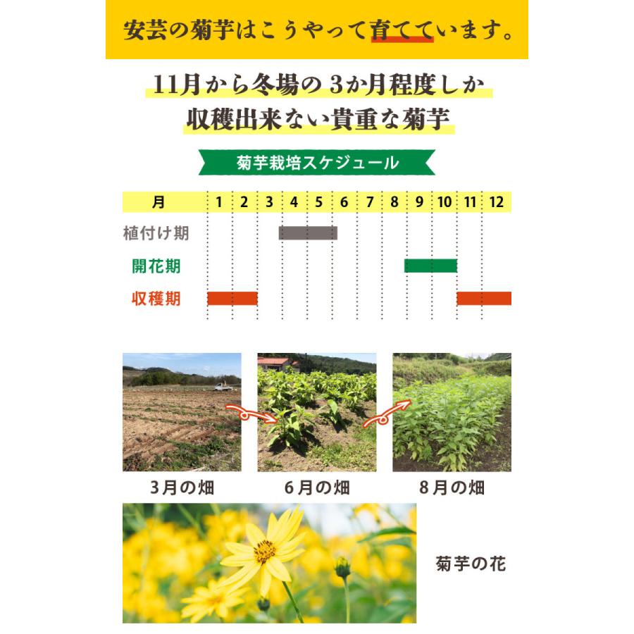 超安い 菊芋チップス 50g 1袋 安芸の菊芋 無添加 チップス 効能 効果 レシピ ダイエット 健康 有機菊芋 国産 イヌリン きくいも サラダ 料理 Aynaelda Com