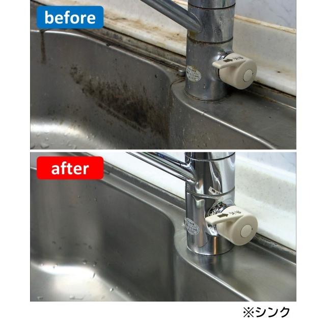 排水口キレイ プラス 配管用洗剤 防カビ剤 カビ取り ヌメリ取り 排水溝