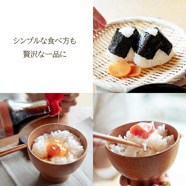 伊賀焼レンジ土鍋 伊賀ノ匠 電子レンジ専用 炊飯 1合 土鍋炊飯器 伊賀焼レンジ土鍋 伊賀ノ匠 電子レンジ専用 炊飯 1合 土鍋炊飯器