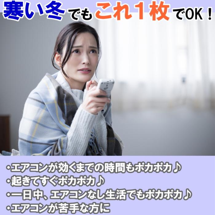 テイジン　速暖半纏すぐぽか　2枚セット　帝人 TEIJIN 半てん そくだん はんてん すぐポカ 冷え対策 保温グッズ 防寒着 冷え性対策 冷え性対策グッズ 男女兼用 |  | 16