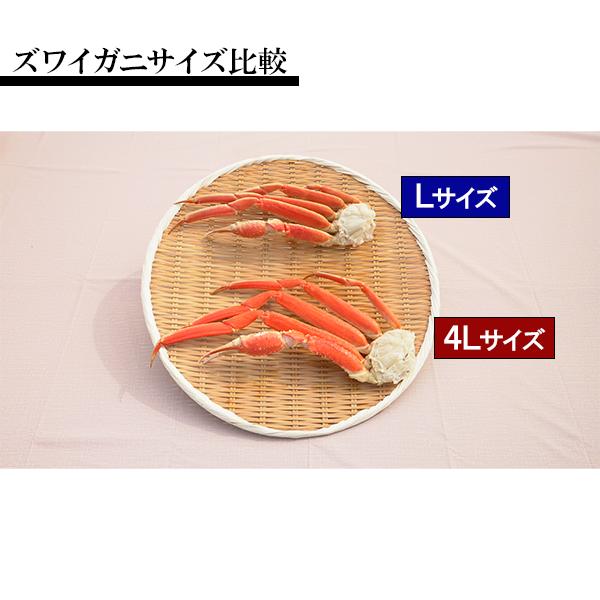 2025年】本タラバガニ8L ＆本ズワイガニ4L 贅沢食べ比べセット