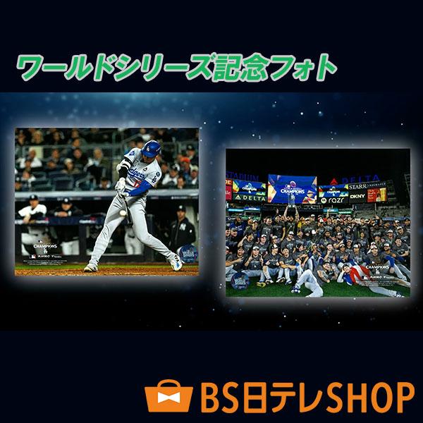 大谷翔平 2024年栄光の軌跡 額装セット ボール フォト 希少 WBC 記念