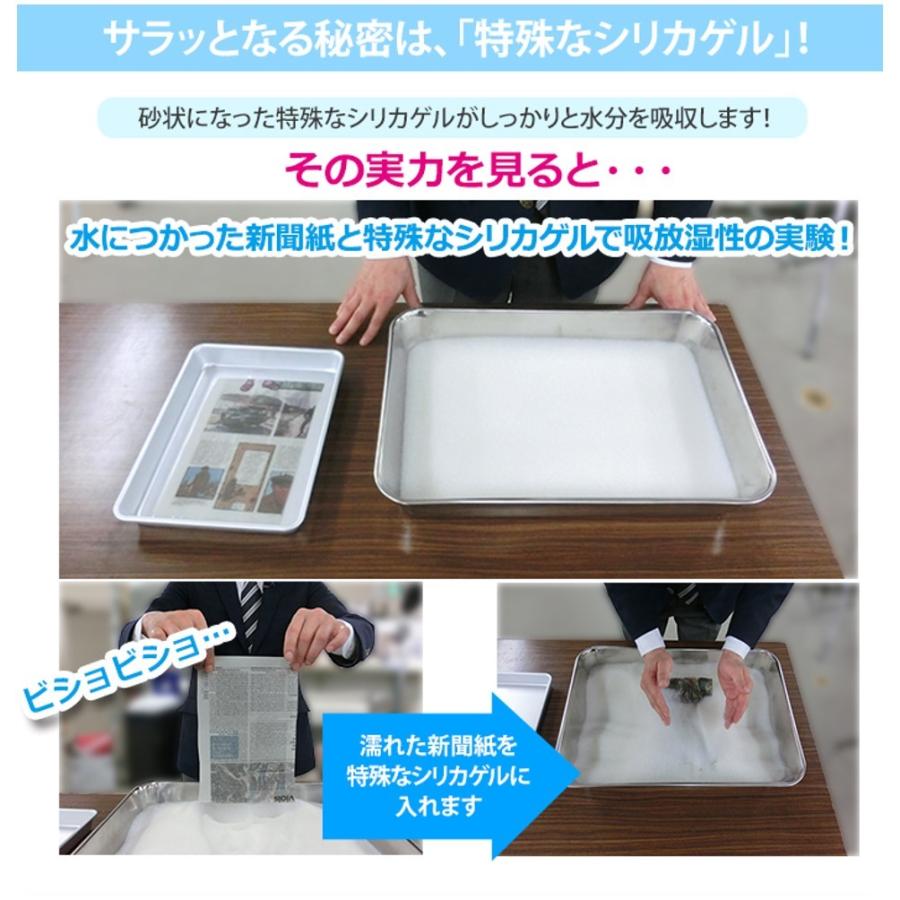 西川 サラッと除湿シート特別2枚組セット シングル : BS日テレSHOP