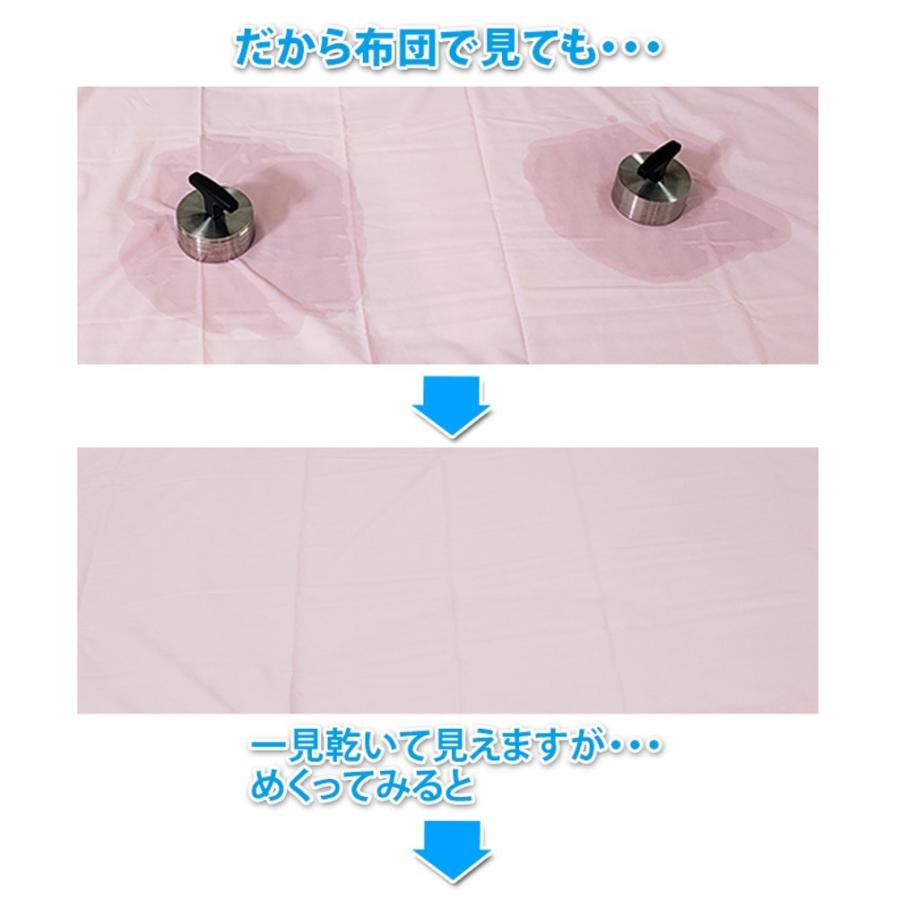 西川 サラッと除湿シート特別2枚組セット シングル 湿気取り 湿気対策