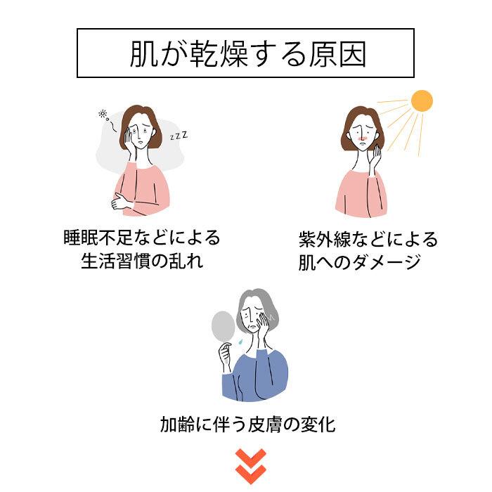美容液 パワーC美容液・30ml ビタミンC誘導体 保湿 うるおい 透明感 しっとり アルブチン ハリ 乾燥 送料無料|bscyshop|03