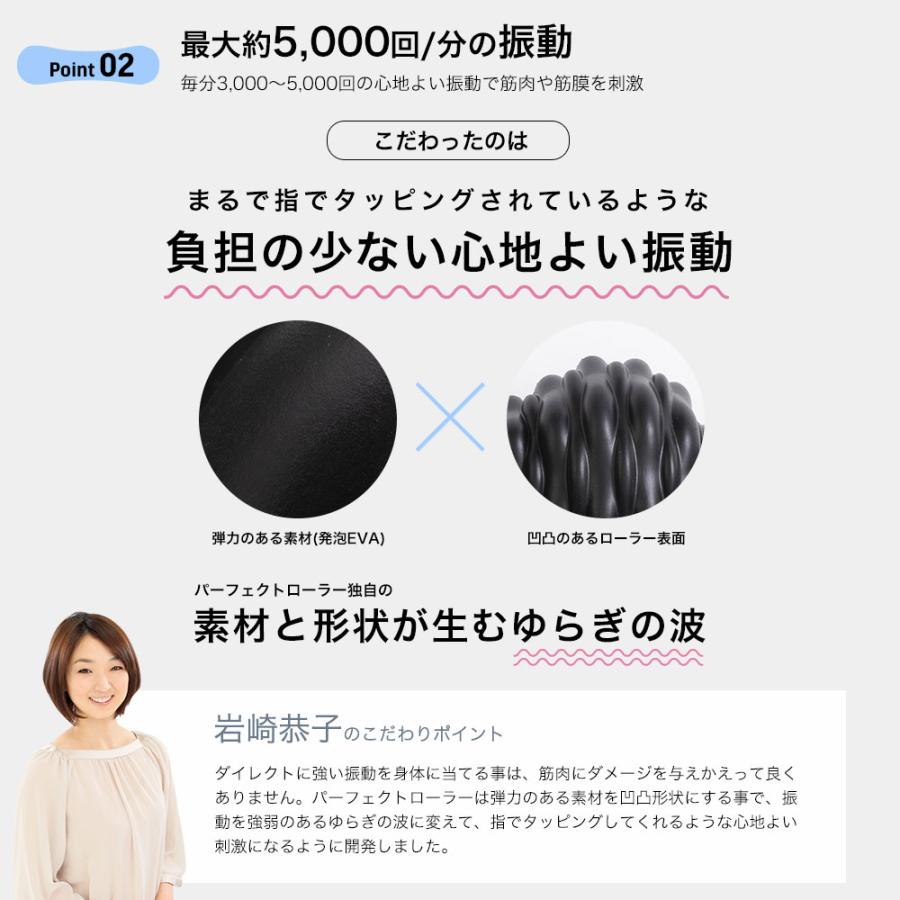 コードレス電動スティック型振動ローラー ストレッチ 指圧代用器 岩崎