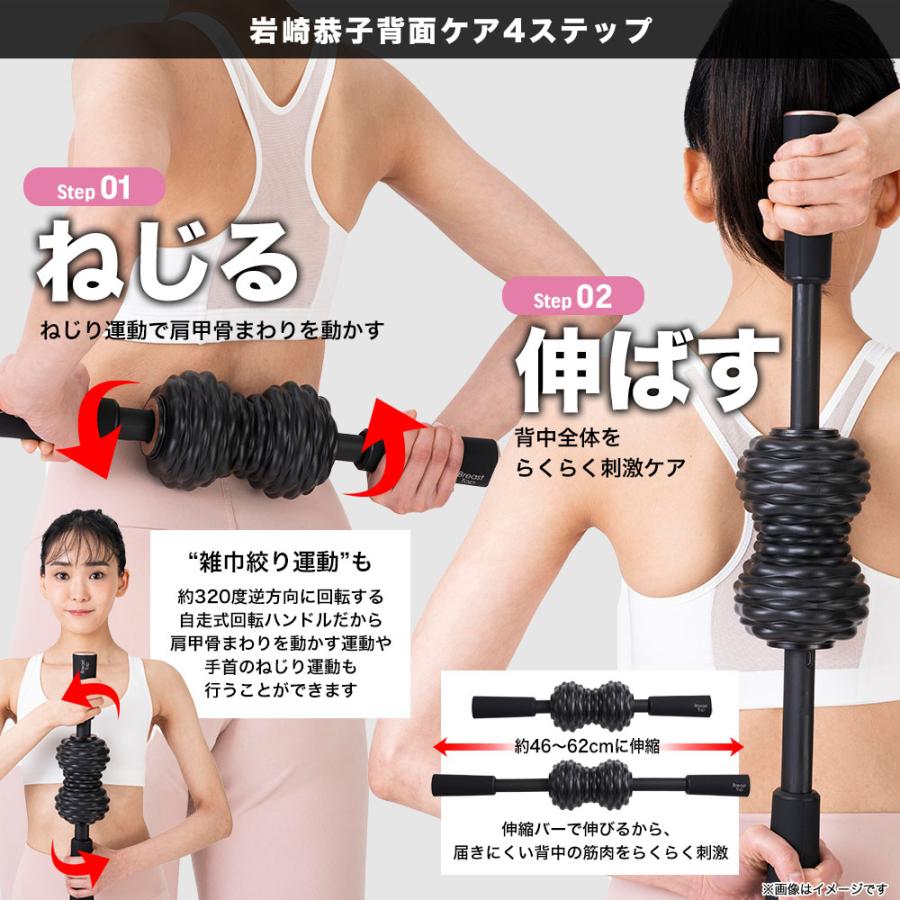 コードレス電動スティック型振動ローラー ストレッチ 指圧代用器 岩崎