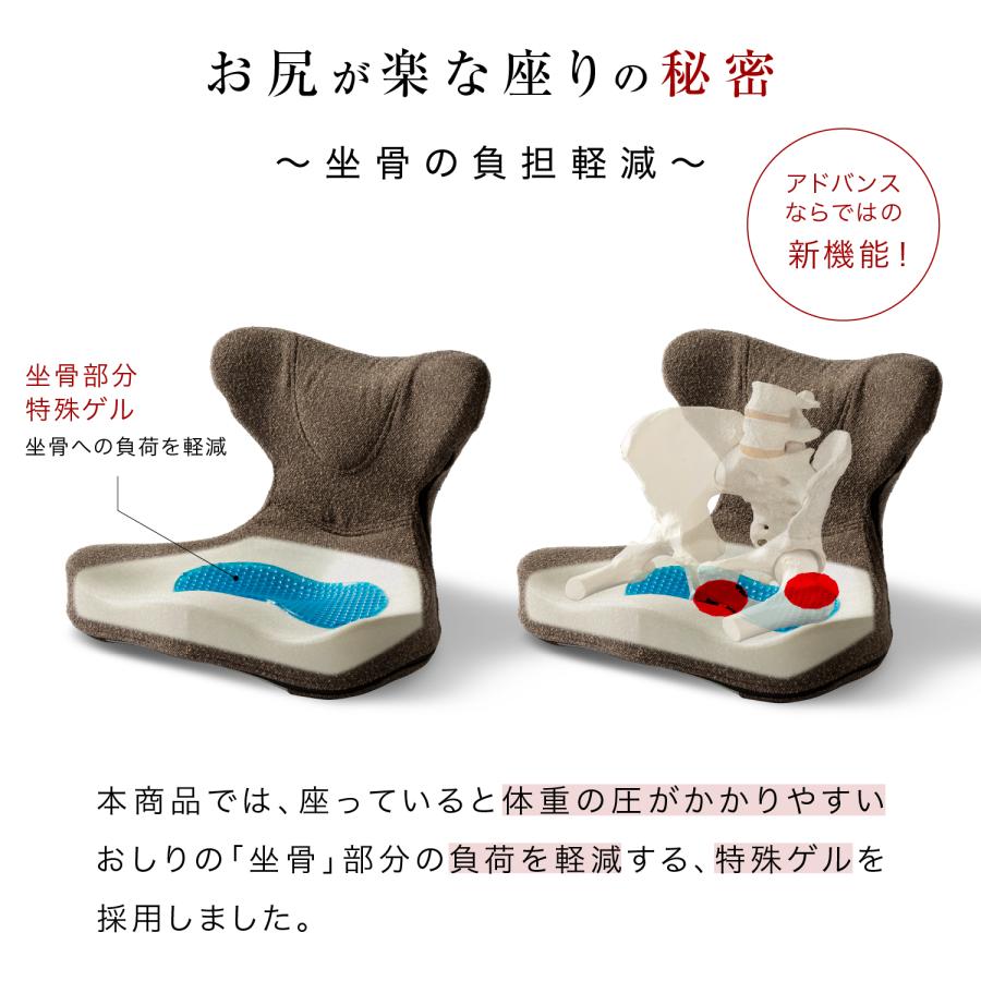 骨盤クッション 特殊ゲル 体圧分散 座椅子 腰痛 姿勢矯正 馬具マットプレミアムアドバンス