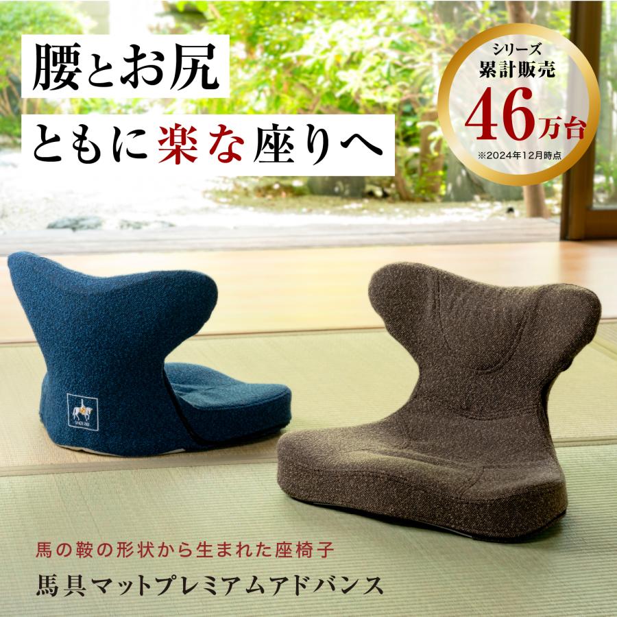 骨盤クッション 特殊ゲル 体圧分散 座椅子 腰痛 姿勢矯正 馬具マットプレミアムアドバンス