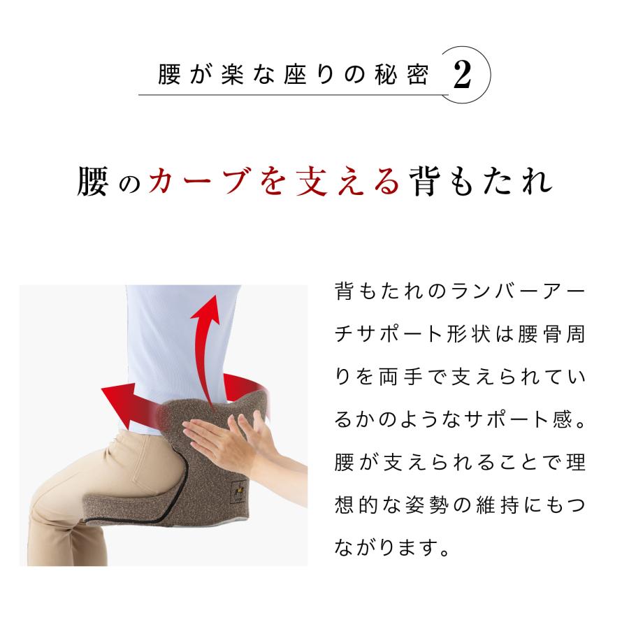骨盤クッション 特殊ゲル 体圧分散 座椅子 腰痛 姿勢矯正 馬具マットプレミアムアドバンス
