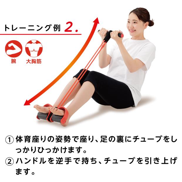 ストレッチグッズ 腹筋 トレーニング器具 シェイプエキスパンダー
