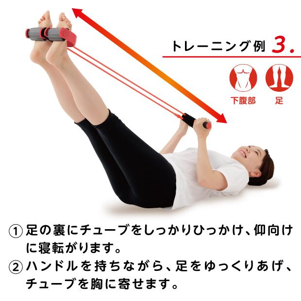 ストレッチグッズ 腹筋 トレーニング器具 シェイプエキスパンダー