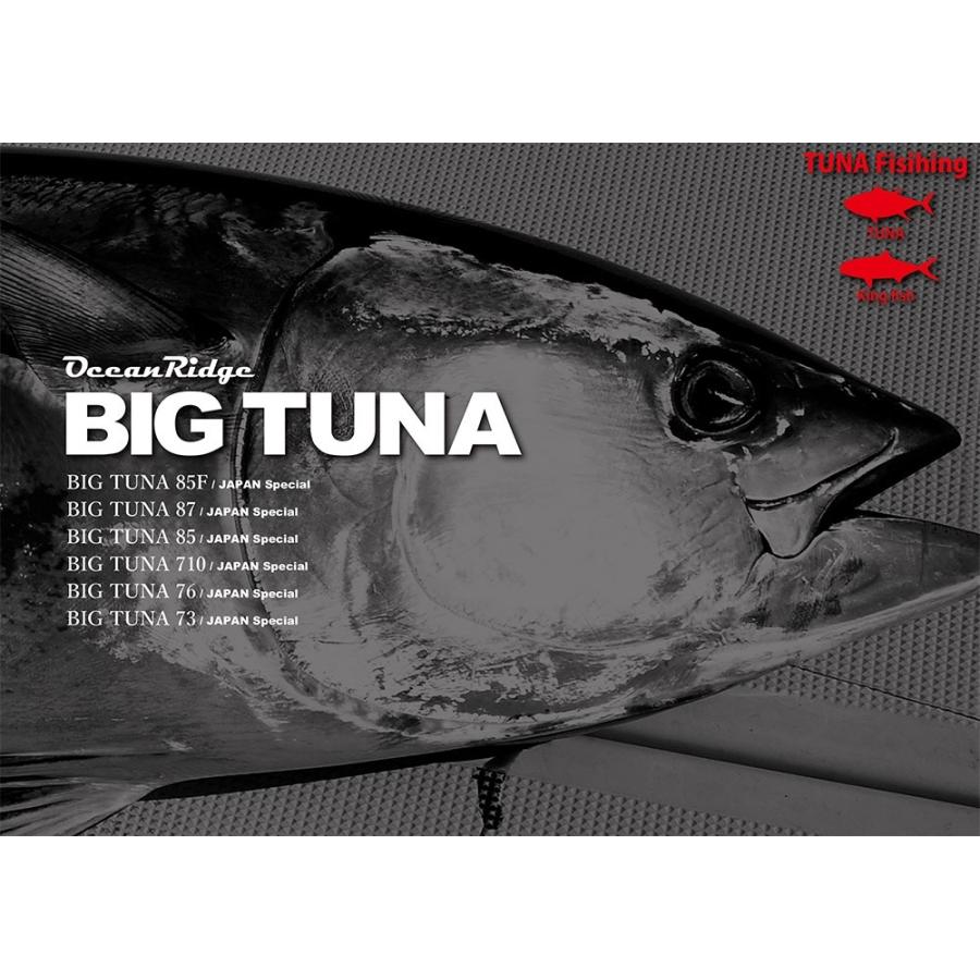 BIG TUNA 85F JAPAN Special - フィッシング