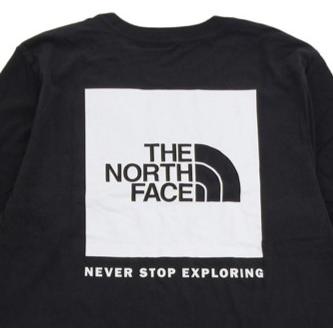 THE NORTH FACE ノースフェイス Long-Sleeve BOX NSE TEE / NF0A811N｜bsrwebshop｜05