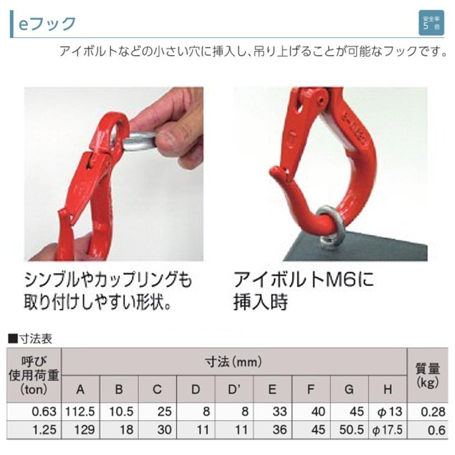 大洋製器工業 eフック 使用荷重 0.63t アイフック 先端吊り具 セーフティラッチ 玉掛け ワイヤ スリングベルト 土木 建築工事 吊上げ アイボルト 小さい穴 TAIYO｜bstl｜03