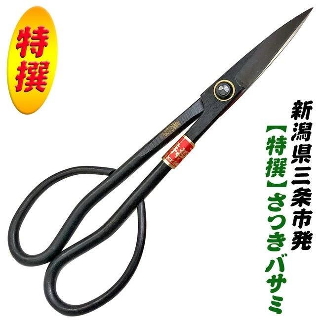 松切り枝 sddefault.jpg