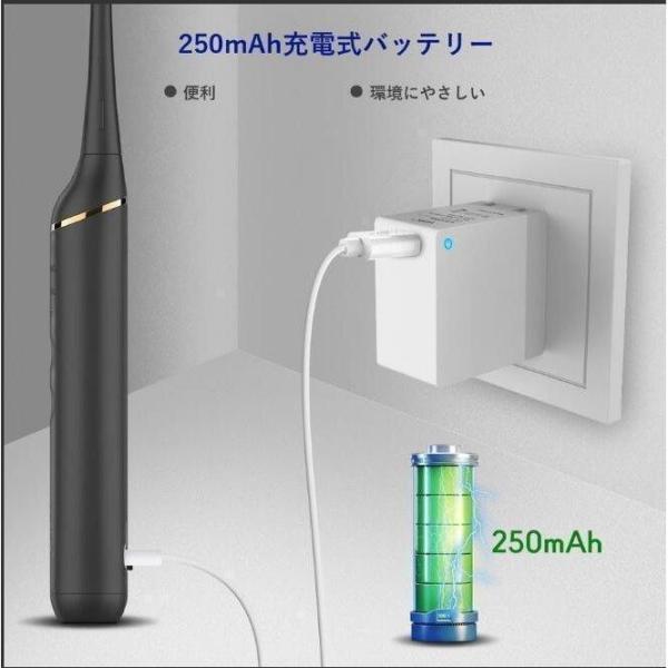 歯石取り 超音波 スケーラー 歯用ツール 電動 歯クリーナー 歯垢 除去 歯垢とり器具 歯石 自分で取る 電動歯ブラシ 口腔洗浄器 USB充電 IPX6防水｜bsy1-st｜04