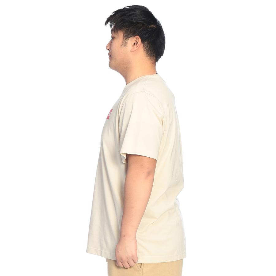 THE NORTH FACE（ザ ノースフェイス） ノースフェイス Tシャツ 半袖