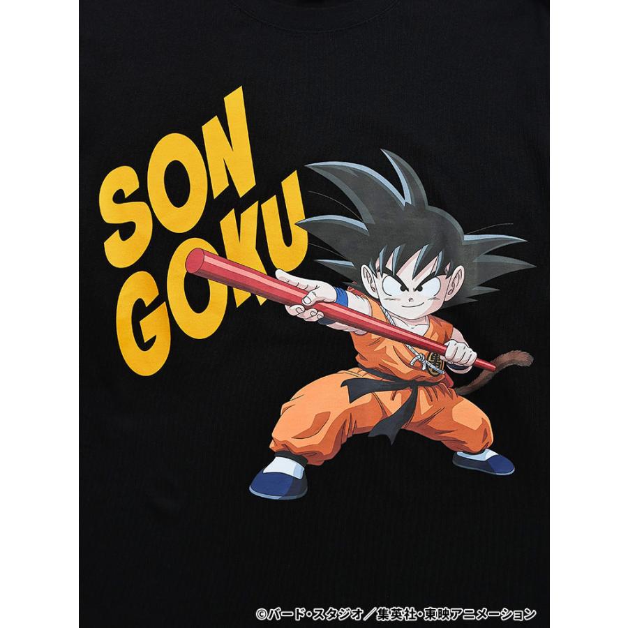 ドラゴンボール 2点で10％OFFクーポン対象 「ドラゴンボール