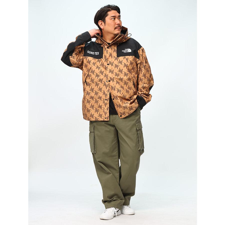 THE NORTH FACE ザ ノースフェイス マウンテンジャケット GORE THE NORTH FACE ザ ノースフェイス マウンテンジャケット GORE