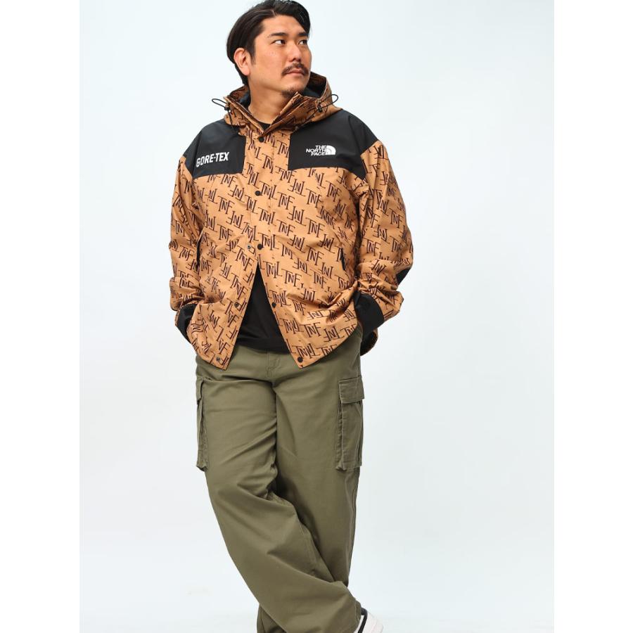 THE NORTH FACE ザ ノースフェイス マウンテンジャケット GORE THE NORTH FACE ザ ノースフェイス マウンテンジャケット GORE