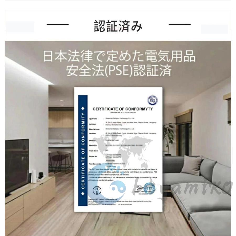 高圧洗浄機 10MPa コードレス 充電式 3段階水圧調整 ブラシレスモー 6