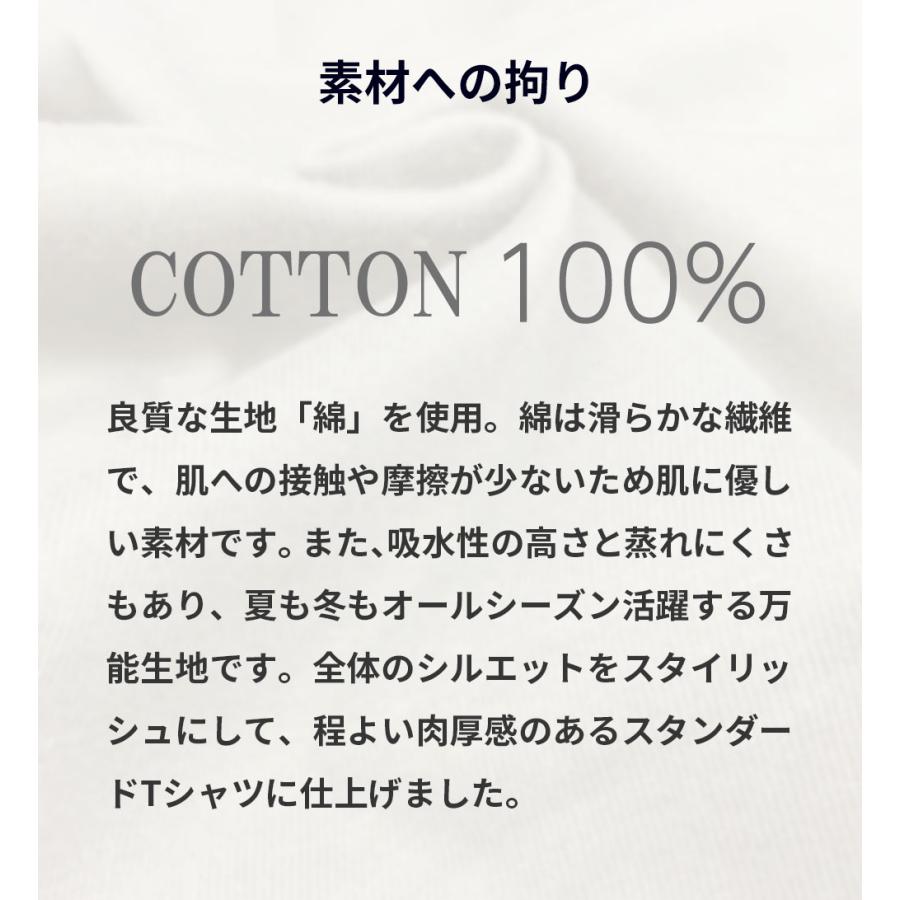 豊天商店 公式 tシャツ 和風 テイスト 和柄 豊天かつを節 前掛け風 元祖豊天デザイン 日本国内プリントTシャツ ぶーでん | ドレイファス&コー | 01