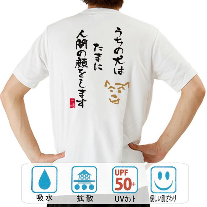 豊天商店（ブーデンショウテン） おもしろtシャツ ドライ 和柄 開運