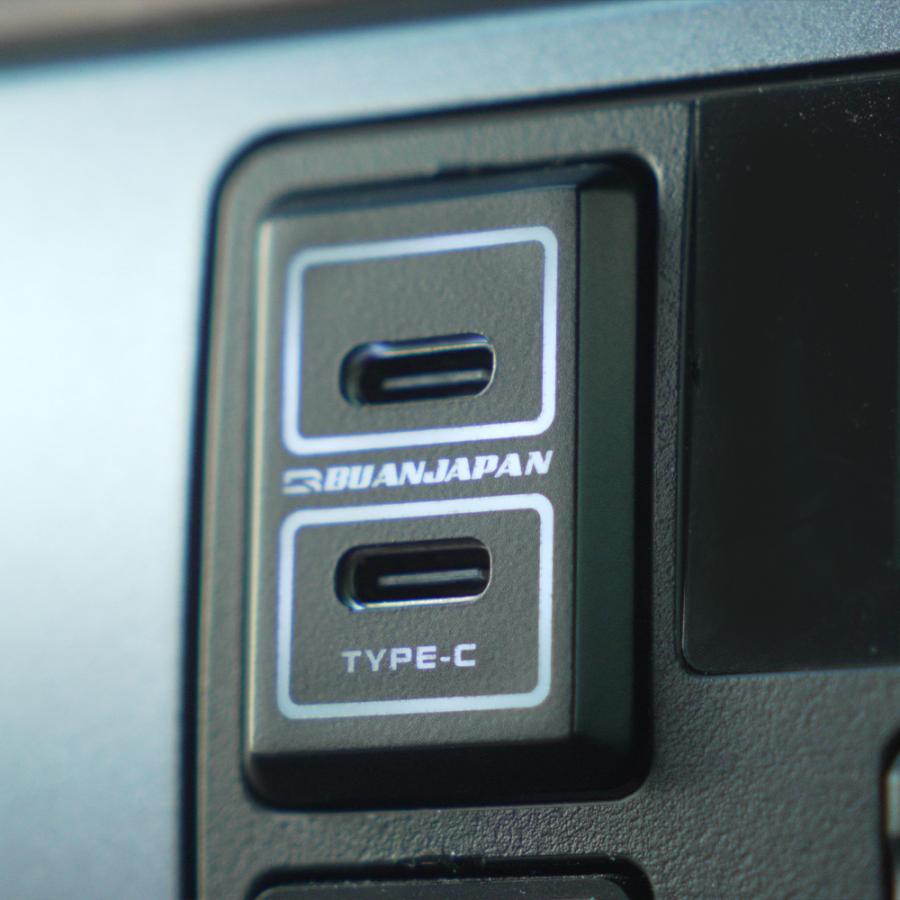 BUAN JAPAN USB 4.2 ツインソケット【タイプC】 ハイエース 便利
