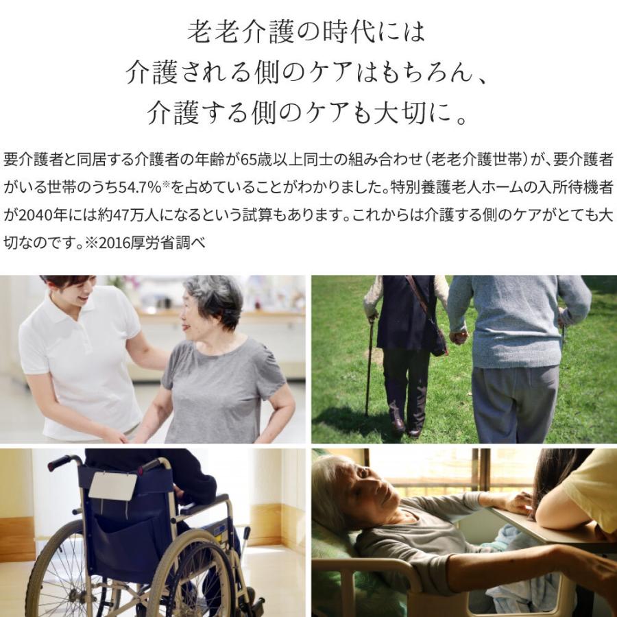 車いす用座面昇降機「ラク〜ダ」 座面昇降装置 起立補助装置 車いす 座 