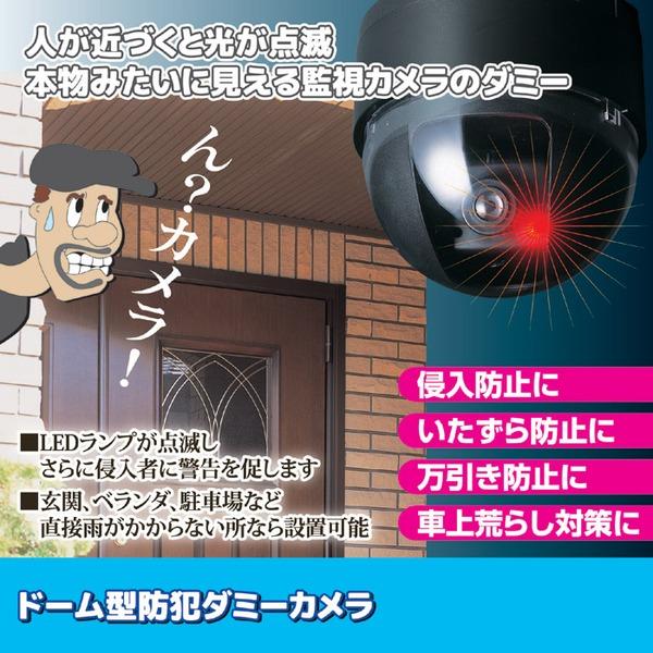 ドーム型防犯ダミーカメラ CDSセンサー/LEDランプ付き (防犯対策)[21]｜bucklebunny｜02